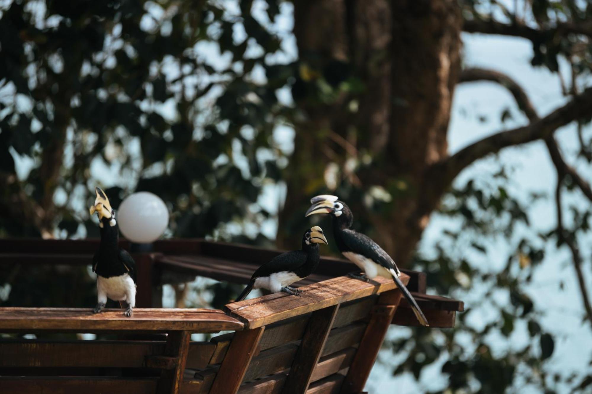 Phayamas Private Beach Resort And Island Brew - Adults Only Koh Phayam Luaran gambar