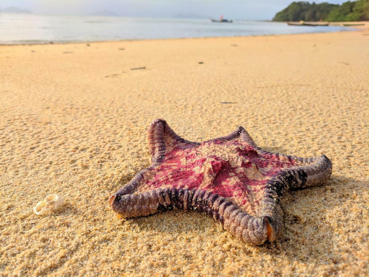 Phayamas Private Beach Resort And Island Brew - Adults Only Koh Phayam Luaran gambar